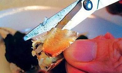 吃螃蟹视频教程,跟着视频教程轻松学会烹饪美味螃蟹
