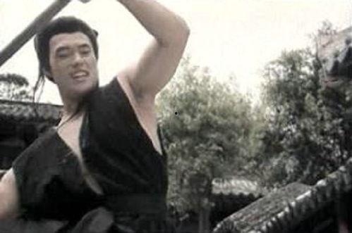 悲落叶之柳如是在线播放,穿越时空的古典爱情传奇