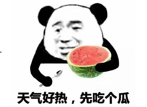 吃瓜表情吧,揭秘网络社交中的趣味与智慧